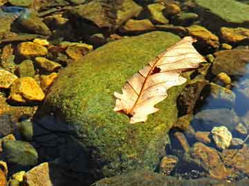 景区地标广告牌规划图纸，从规划到管理，Everything You Need to Know